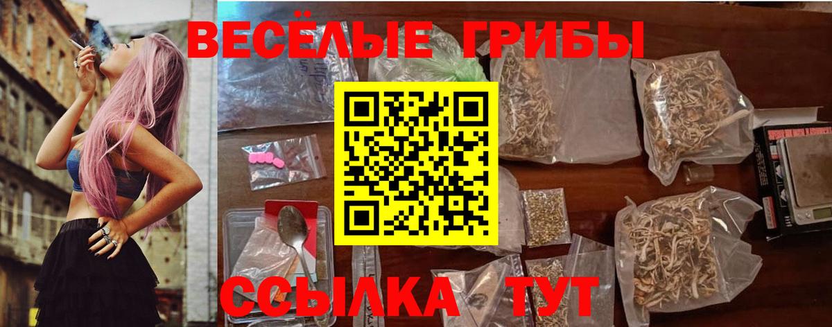 Галлюциногенные грибы Psilocybine cubensis Ярославль